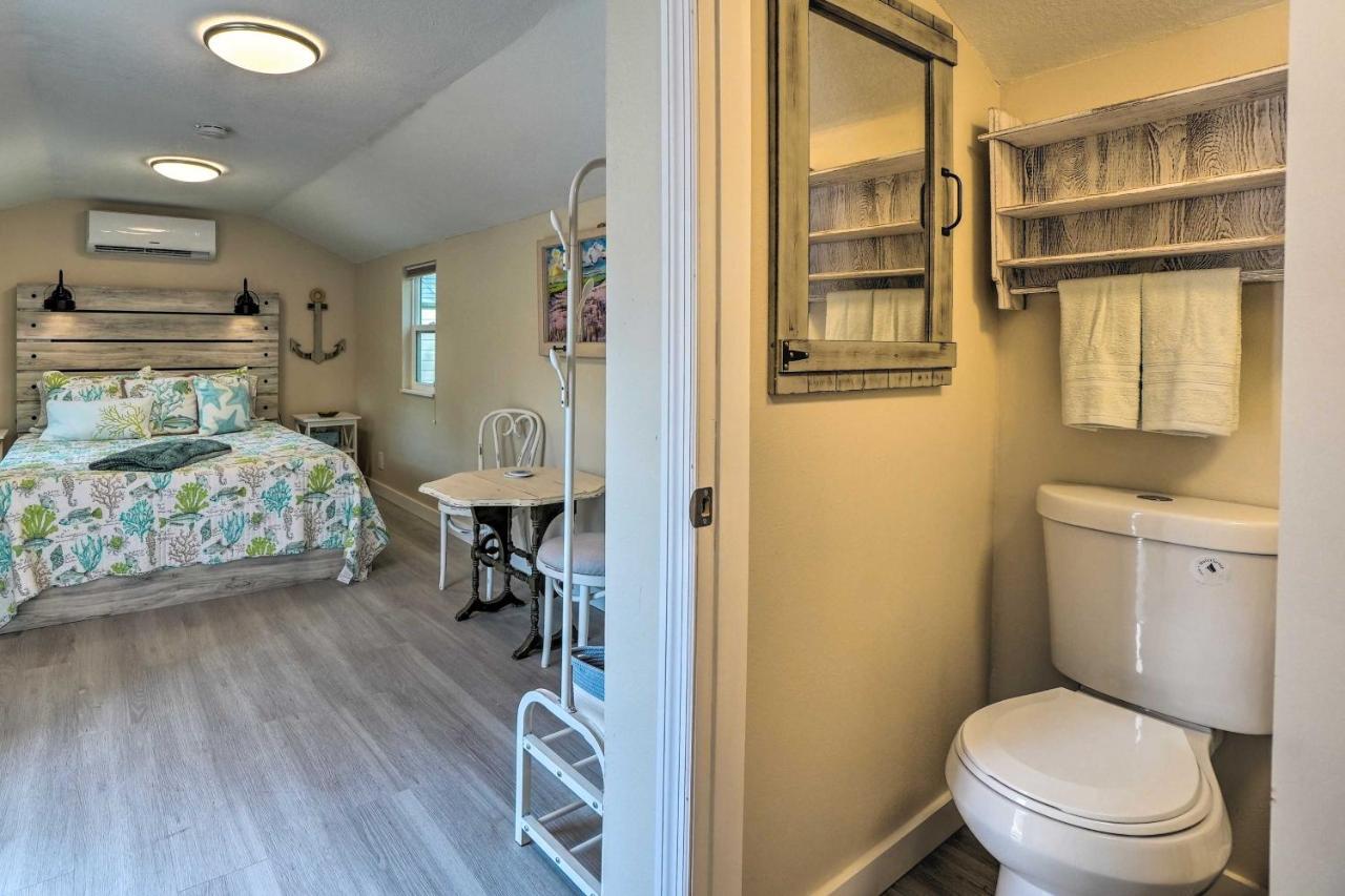 Tropical Palm Harbor Studio Walk To Gulf! Luaran gambar